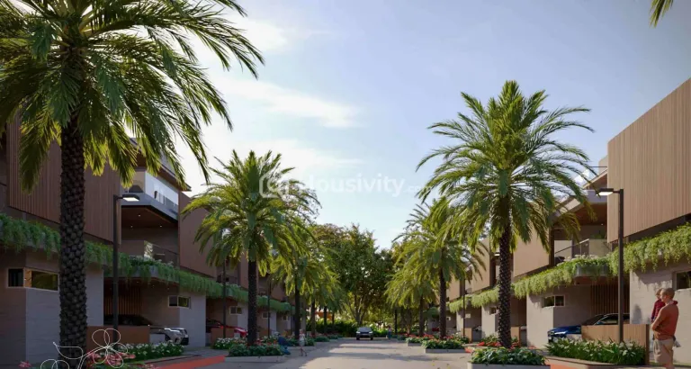 Bhavya Evora Image 7