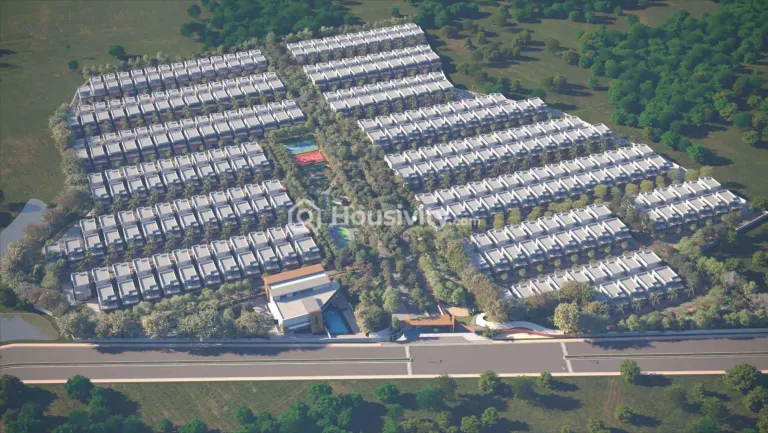 Bhavya Evora Image 8