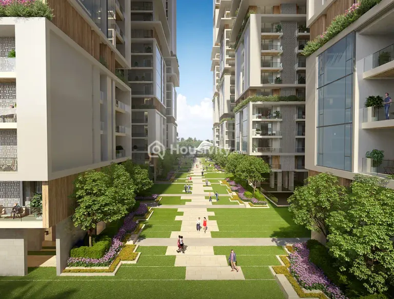 Auro The Pearl Image 4