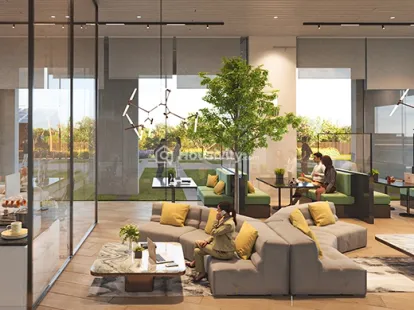 Auro The Pearl Image 7