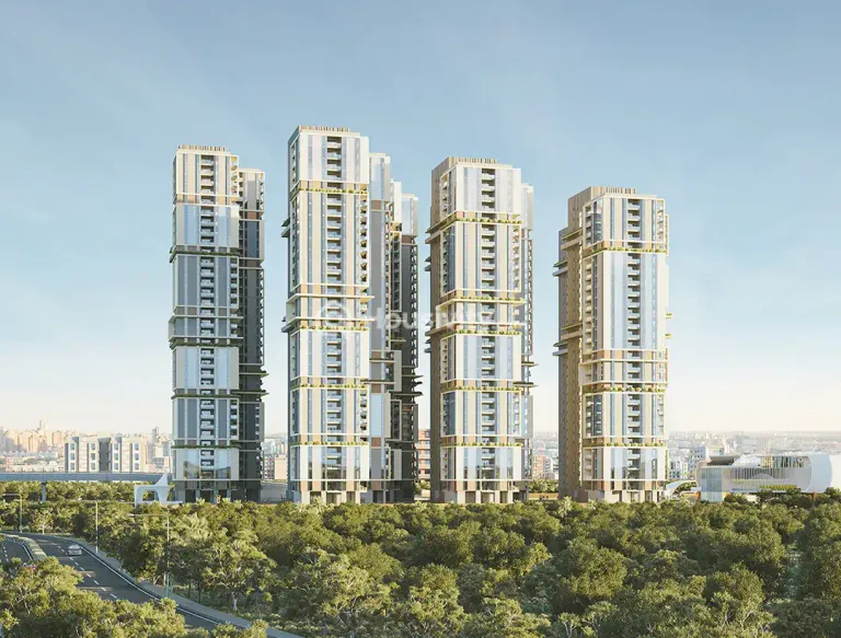 Auro The Pearl Thumbnail