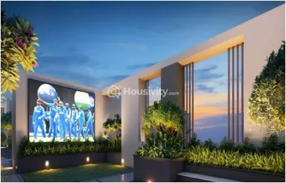 Ajmir Exotica Image 2