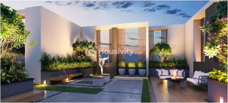 Ajmir Exotica Image 1