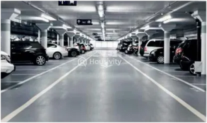 Ajmir Orchid Image 3