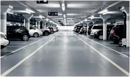 Ajmir Orchid Image 3