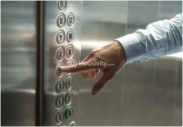 Ajmir Orchid Image 1