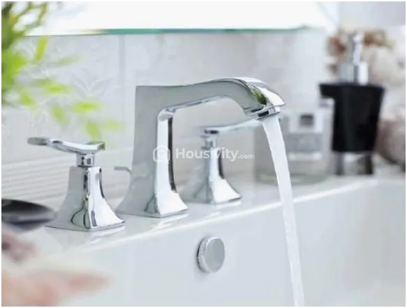 Ajmir Orchid Image 2