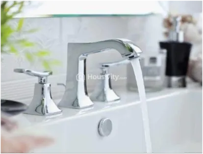 Ajmir Orchid Image 2