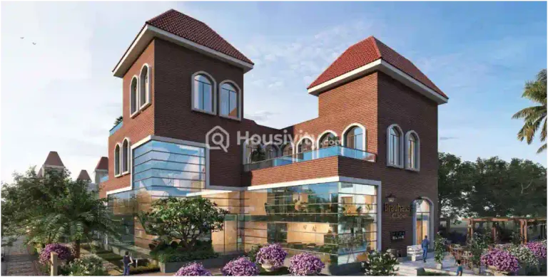 Arrjavv Hazelburg Image 4