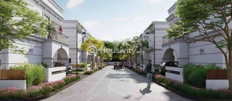 Ace Apurva Image 7