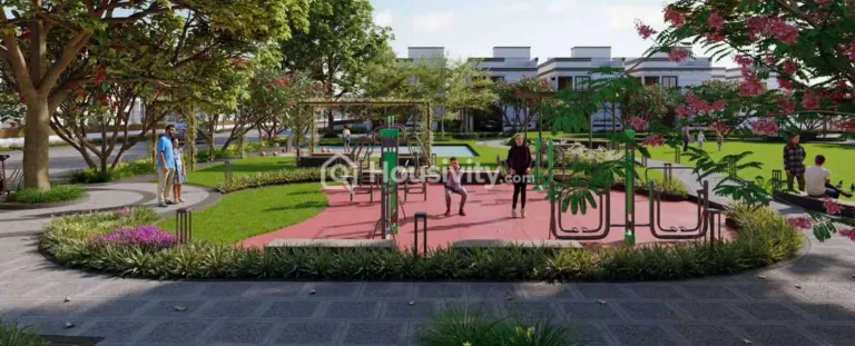 Ace Apurva Image 3