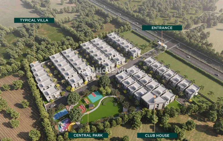 Ace Apurva Image 5