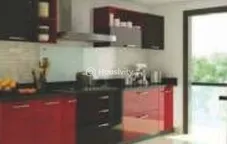 Royal Orchids Image 7