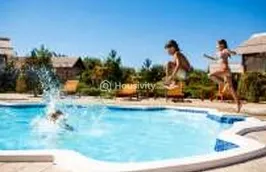 Royal Orchids Image 10