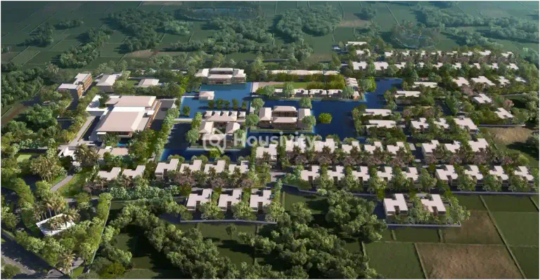 Purti Meraki Image 6