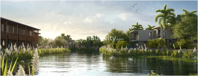 Purti Meraki Image 5