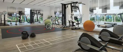 Lansum El Dorado Image 4