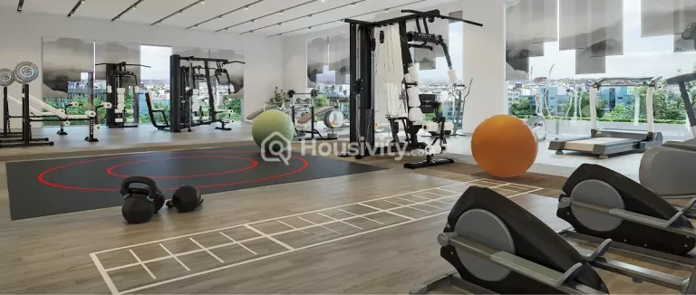 Lansum El Dorado Image 4