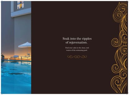 Natural Quest Brochure Image 17