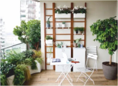 Natural Majesty Image 5