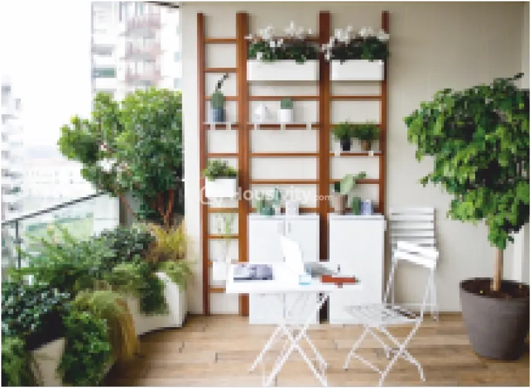 Natural Majesty Image 5