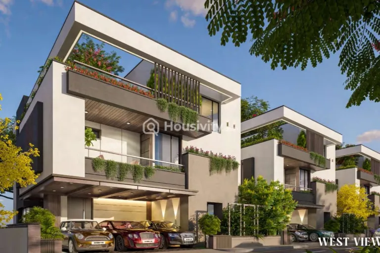 Elegans Sreyan Image 1