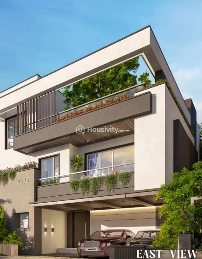 Elegans Sreyan Image 2