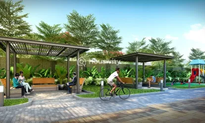 NSL East County Image 1