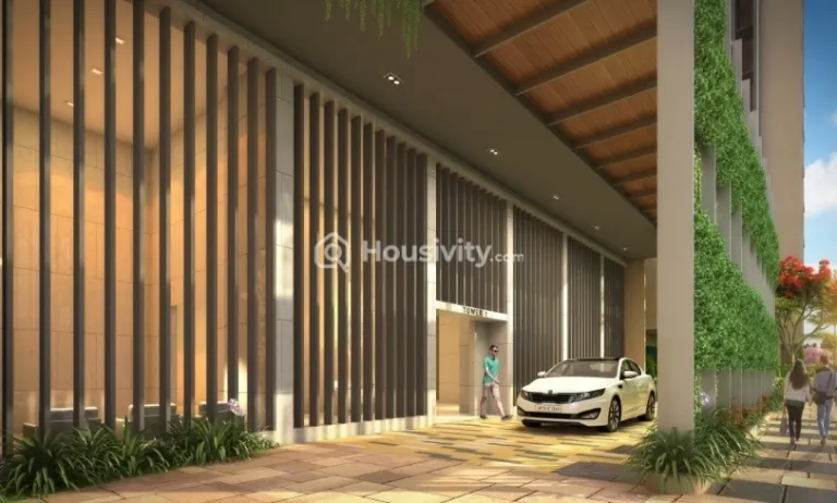 NSL East County Image 10