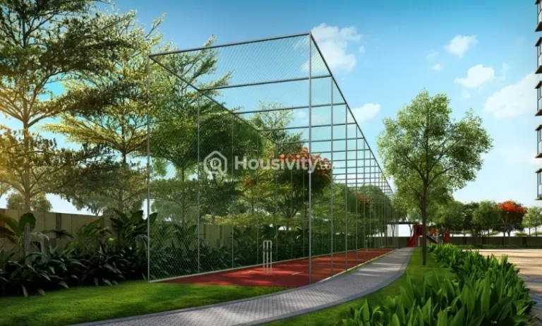 NSL East County Image 6