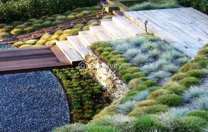 Trishala Saffron 360 Image 5