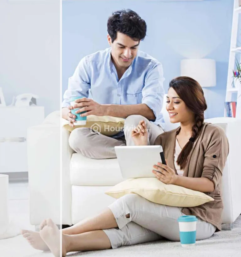 GK's Festoon Image 2