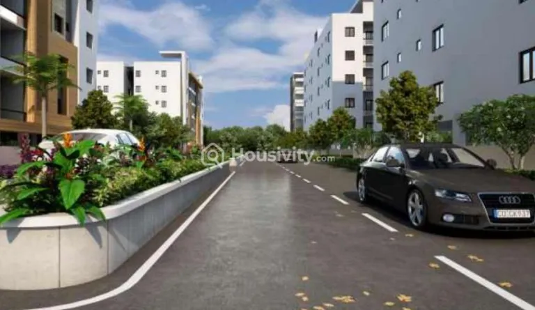 GK's Festoon Image 3