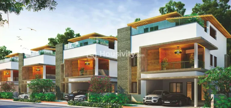 SMR Vinay Casa Carino Thumbnail