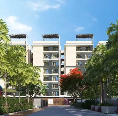 Elegant Tranquility Image 5