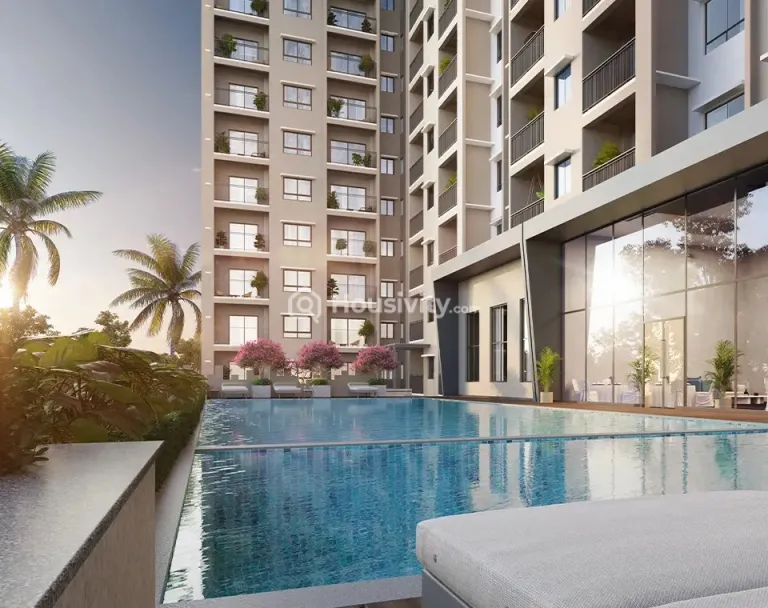 Century Liva Image 3