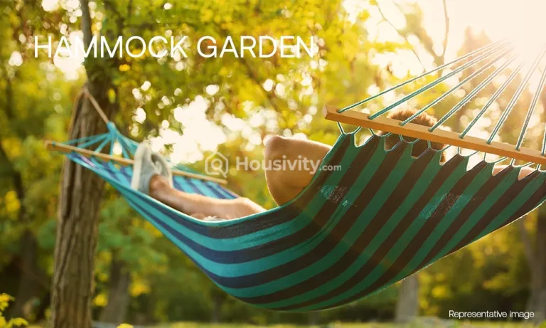 Century Liva Image 7