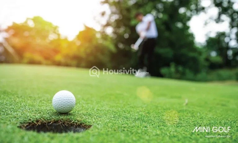 Century Liva Image 12