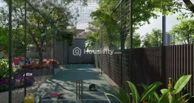 Century Novus Image 10