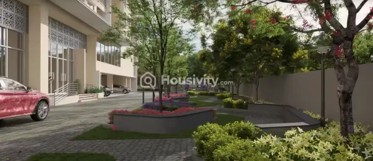 Century Novus Image 6