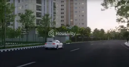 Century Novus Image 15