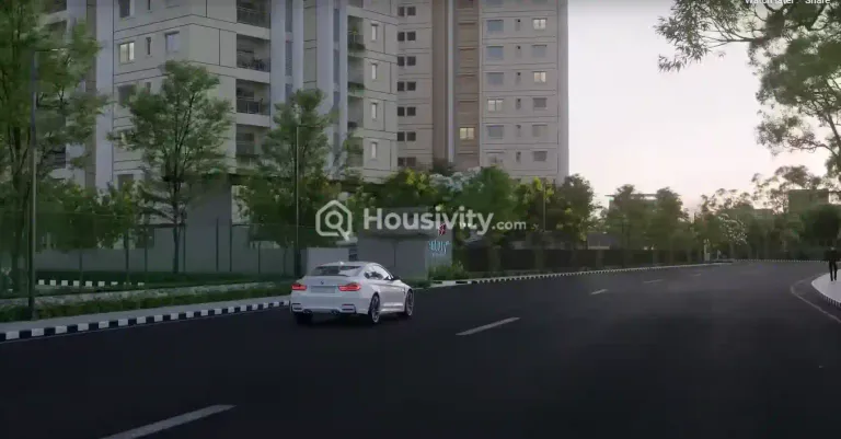 Century Novus Image 15