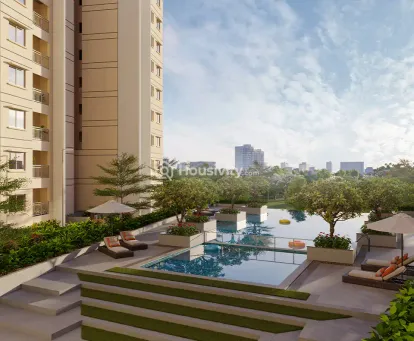 Century Novus Image 16