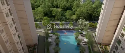 Century Novus Image 7