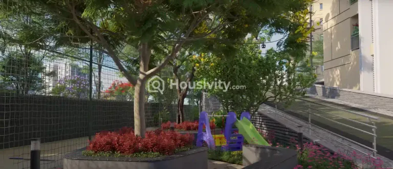 Century Novus Image 12