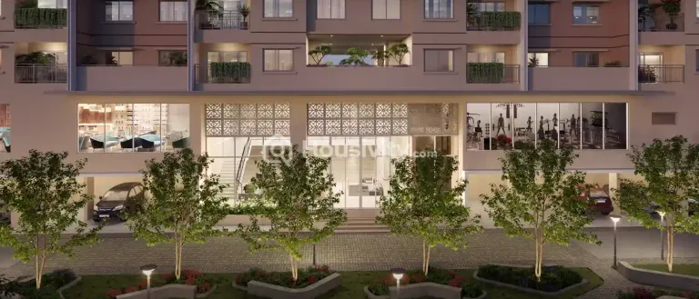 Century Novus Image 3