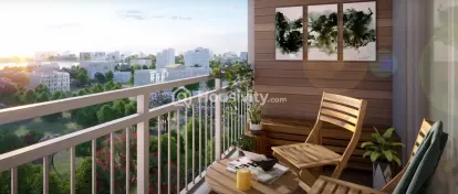 Century Novus Image 2