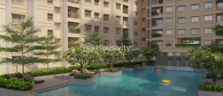 Century Novus Image 9