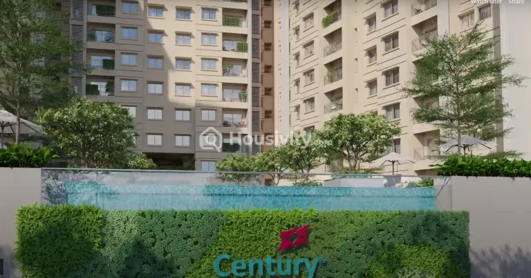 Century Novus Image 13