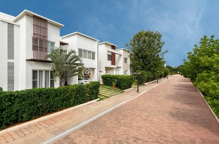 Century Wintersun Image 1